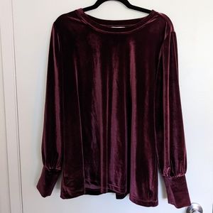 Loft Plus Maroon Velvet Long Poof Sleeve Top
